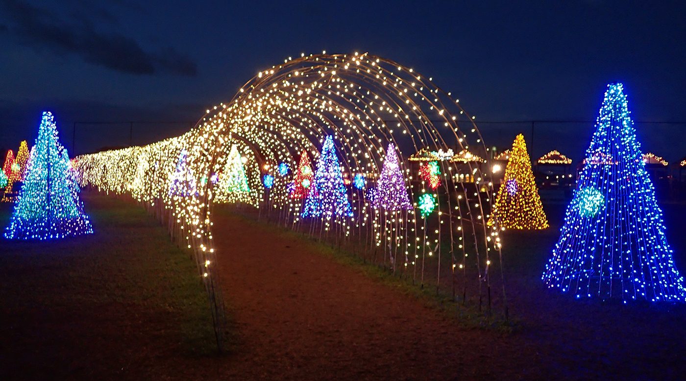 LIGHT TUNNEL. From the entrance a tunnel will lead you to the field of lights. 