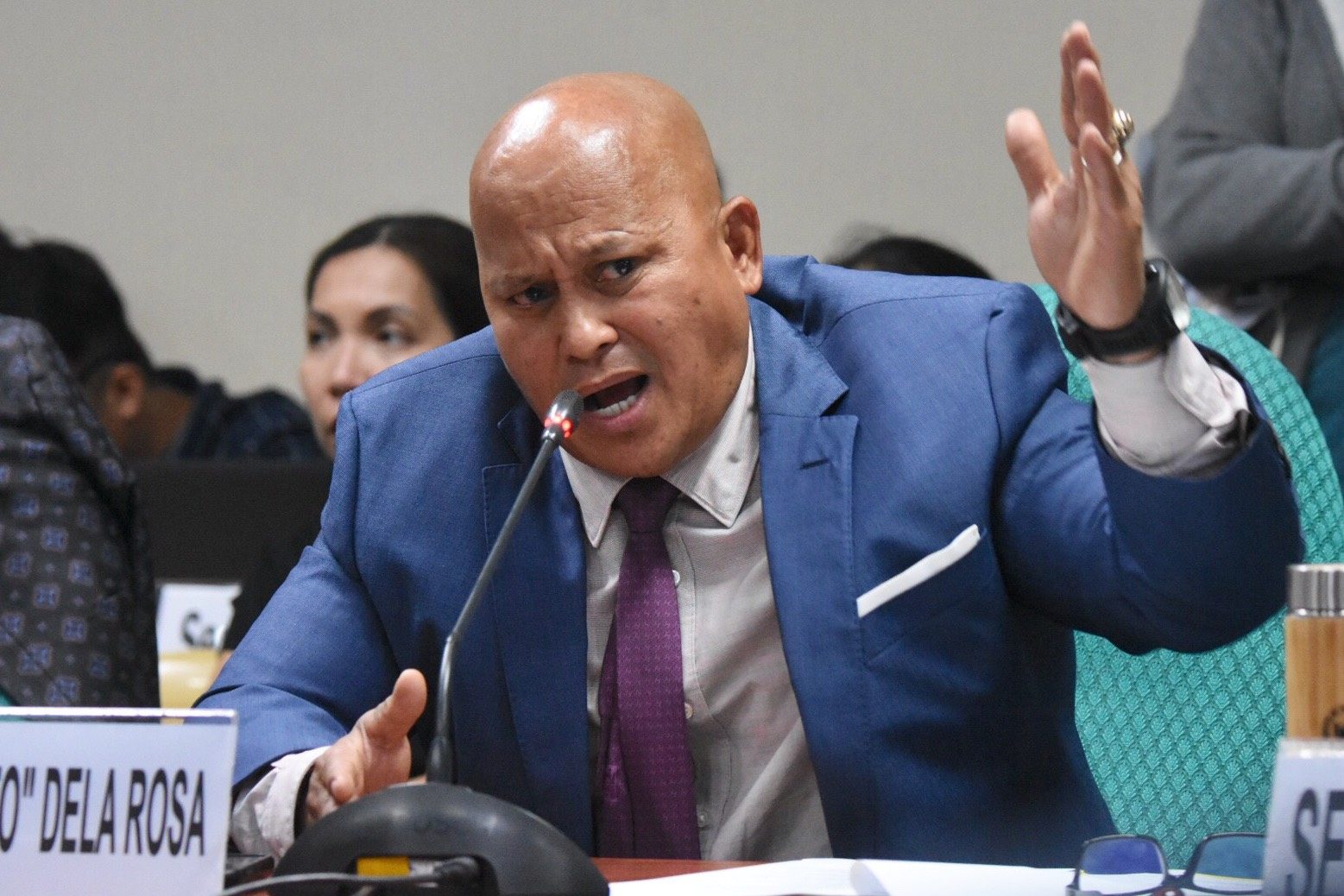 Dela Rosa, Hontiveros demand ‘serious’ probe into Negros vigilante group