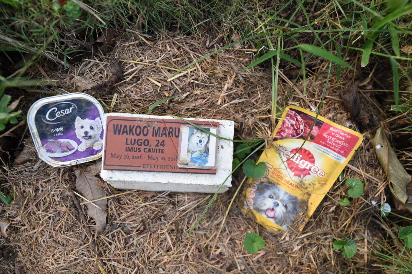 SNACKS. On the grave of Wakoo are packets of dog foods left by his owner. Photo by Alecs Ongcal/Rappler 