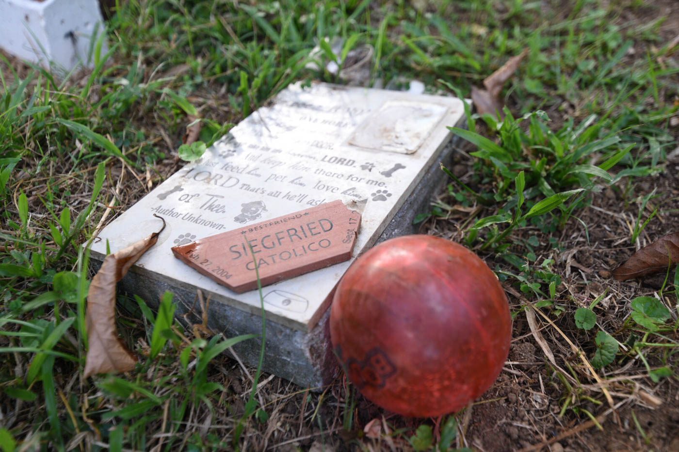 FAVORITE TOY. A red ball is seen beside the gravestone of Seigfried. Photo by Alecs Ongcal/Rappler 
