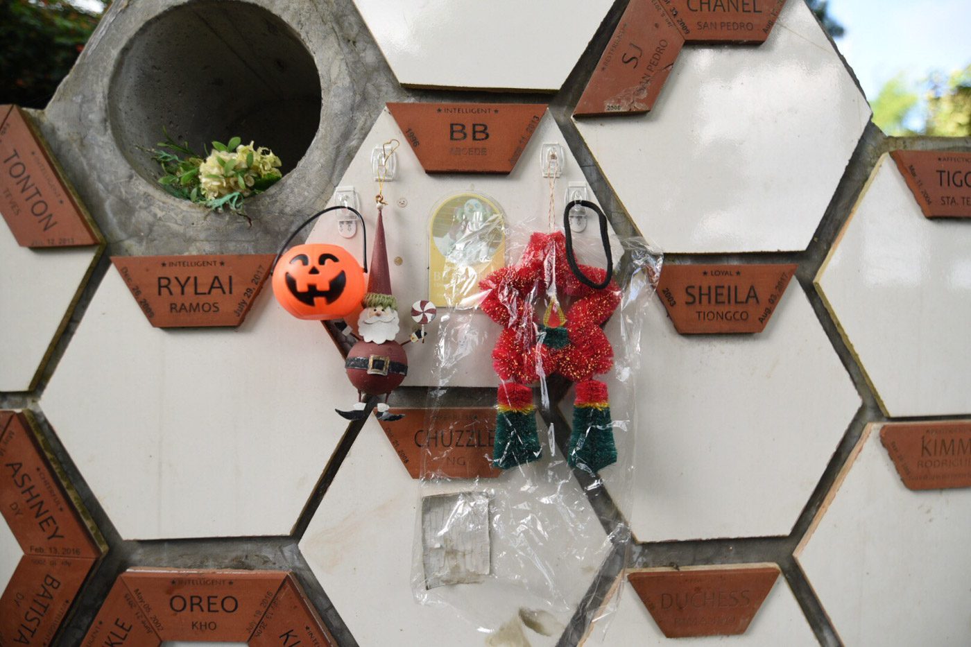 MERRY HALLOWEEN. Halloween and Chistmas decorations are hung on the grave of BB. Photo by Alecs Ongcal/Rappler 