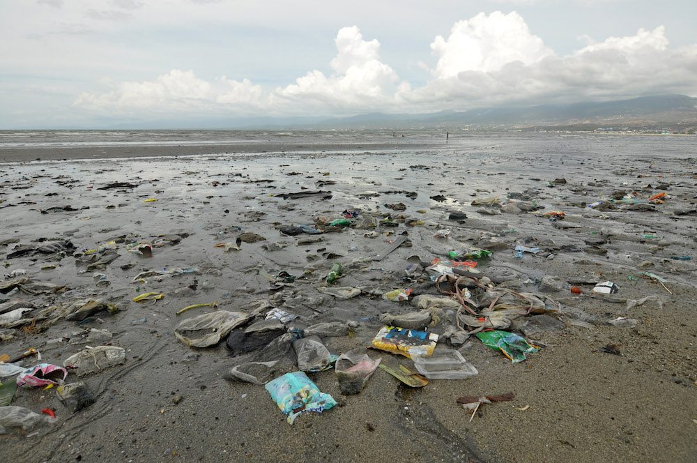 Dua ancaman utama laut: Penangkapan ikan berlebih dan sampah plastik