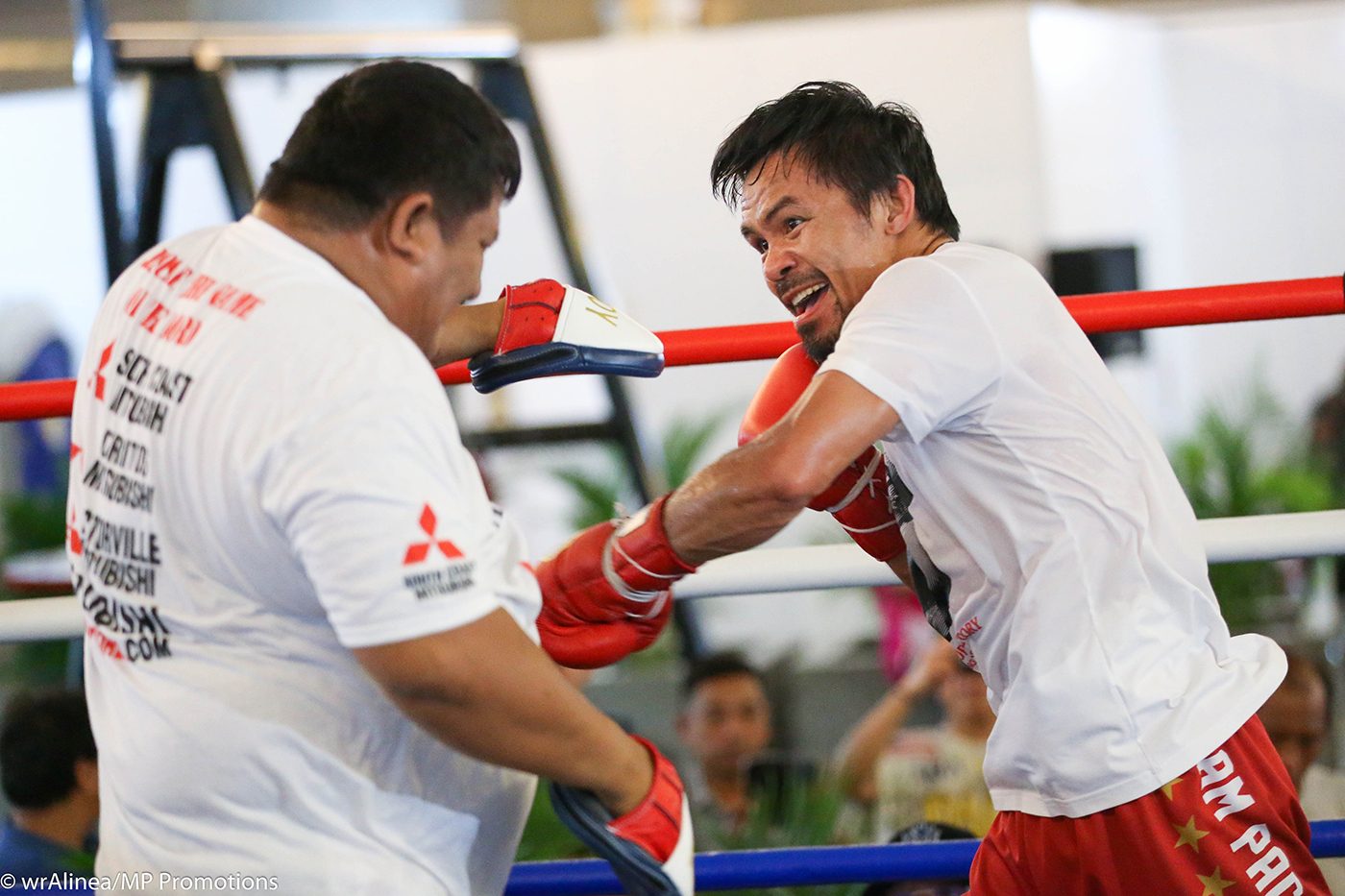 Pacquiao right on target, chips Fernandez’s tooth