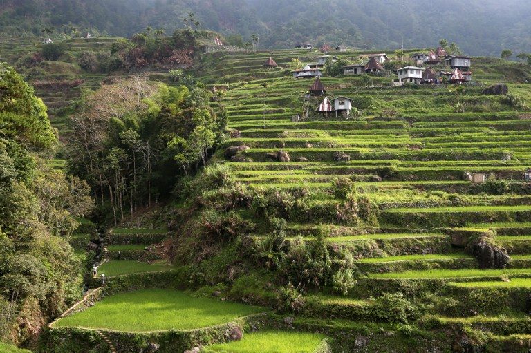 UP THE MOUNTAIN. In this photo taken on April 29, 2015 shows a village in Mayoyao, Ifugao province, part of the spectacular mountain rice terrace region in the northern Philippines that is listed by UNESCO as a World Heritage site. Karl Malakunas/AFP 