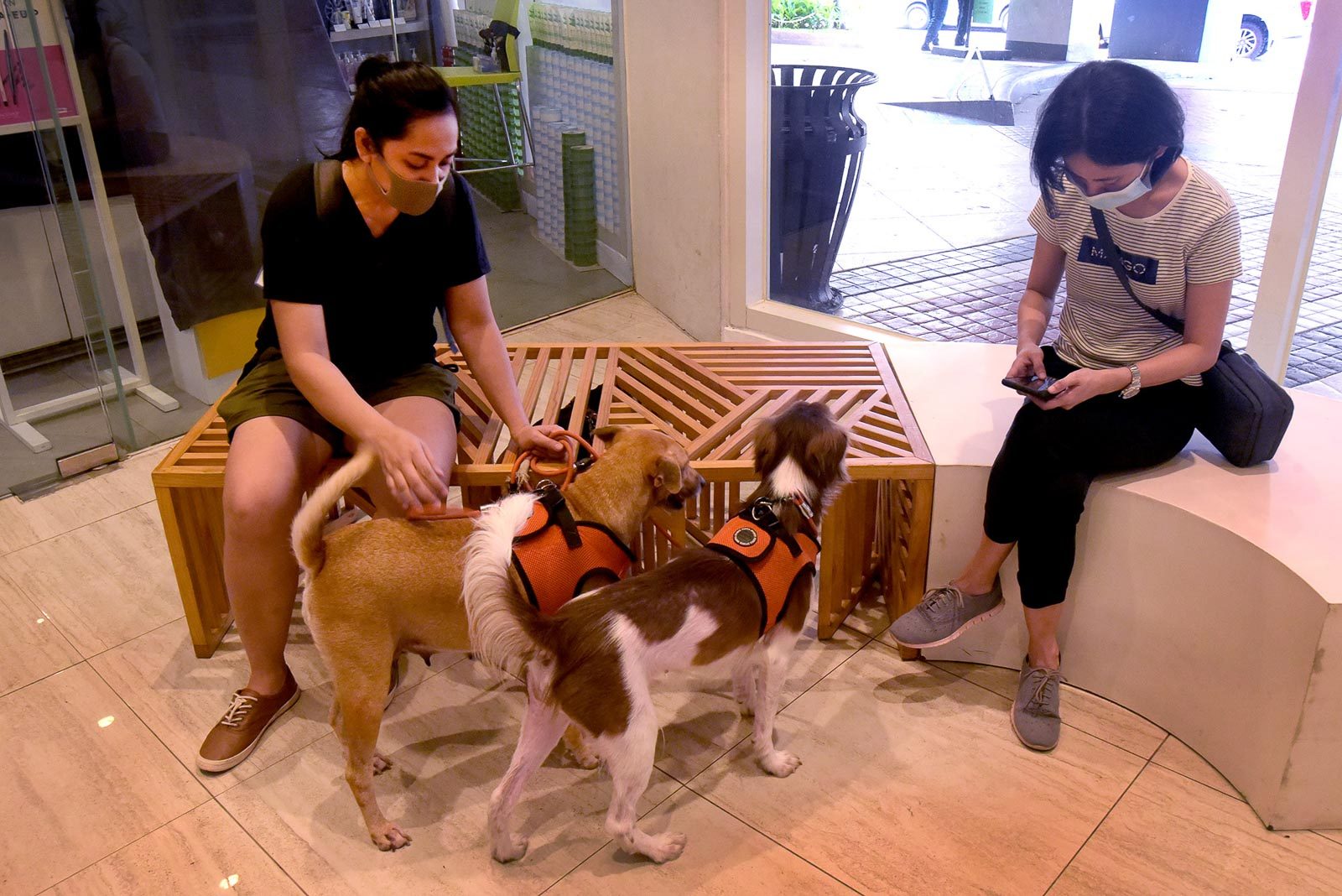 PRECAUTION. Mall goers take their pets for a walk inside Eastwood Mall in Quezon City as it reopens on the first day of the MECQ on May 16, 2020. File photo by Angie de Silva/Rappler 