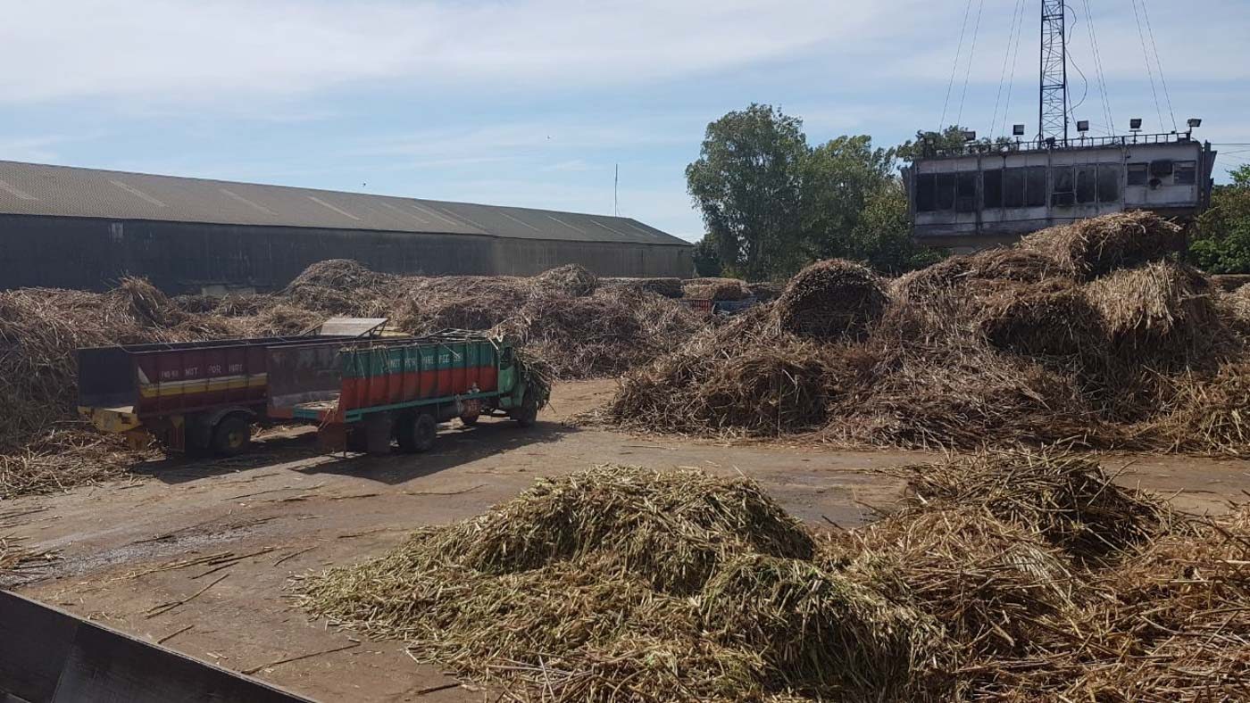 Large piles of cut sugarcane are set for crushing just outside the First Farmers Holdings Corp's milling facility in Talisay, Negros Occidental. Photo by Anna Mogato/Rappler 