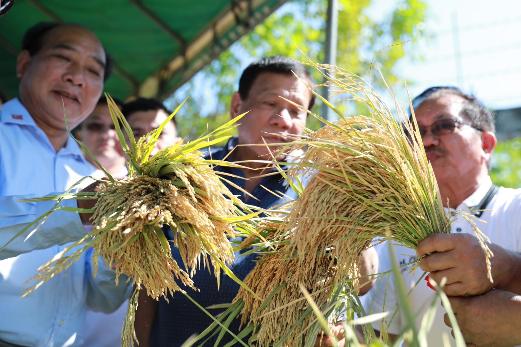 Think tank to Duterte: Allow rice importation, end NFA monopoly