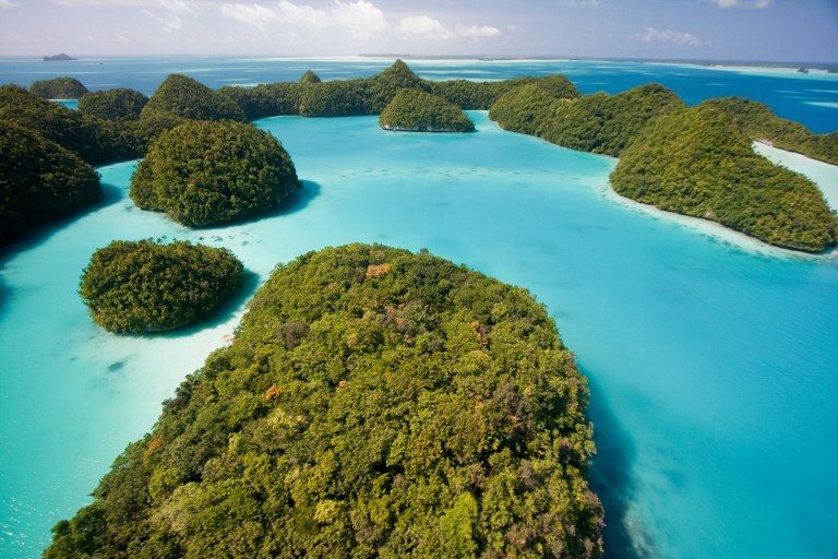 Palau bans ‘reef-toxic’ sunscreen