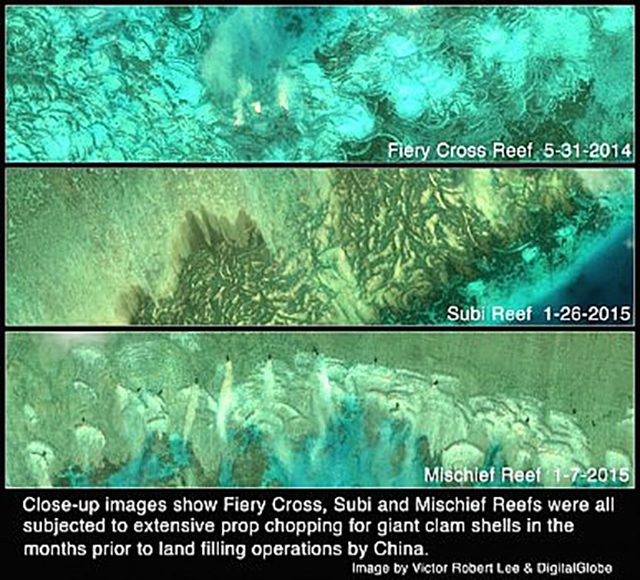 PH ‘studying’ reports of Chinese tourists on disputed reef
