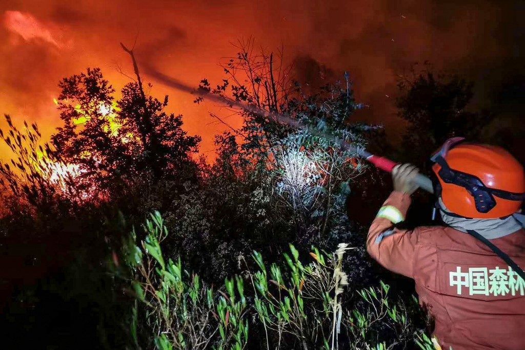 19 killed in massive China forest fire