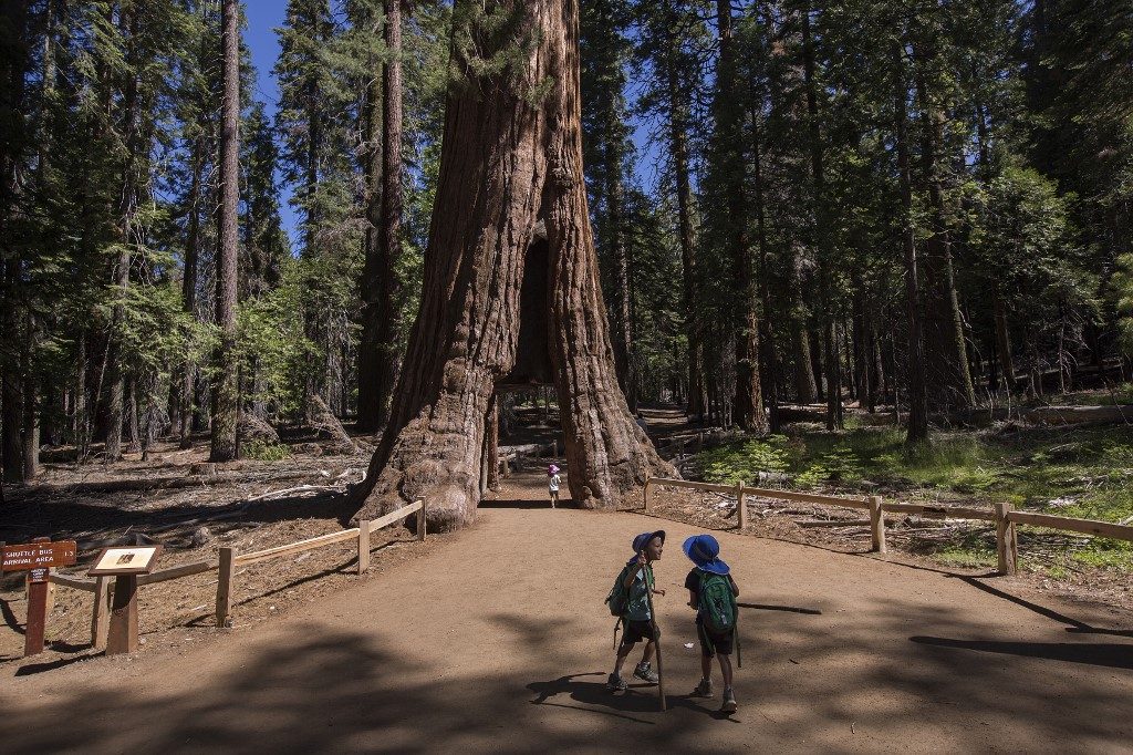 California’s Yosemite National Park shuts down over coronavirus fears