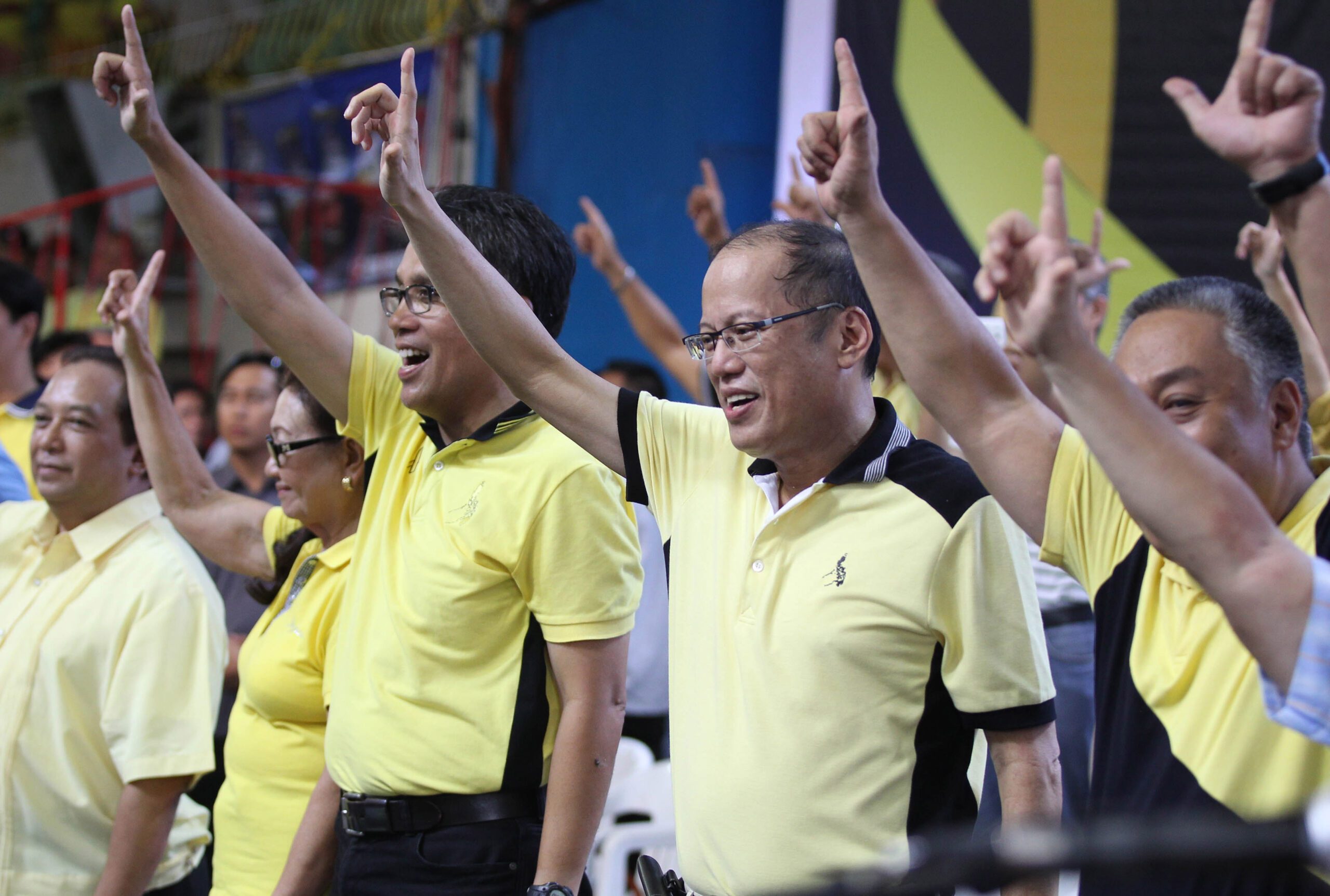 Roxas’ pitch to mayors in Iloilo: I’ll give you a Visayas president
