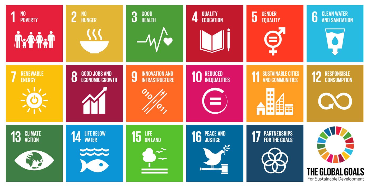 THE UN'S 17 SUSTAINABLE DEVELOPMENT GOALS. Screenshot from the UN SDG website 