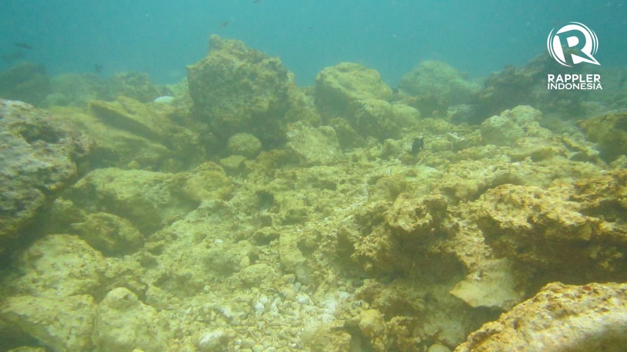 DESTROYED. About 1,600 square meters of coral reef was damaged by the cruise ship. Photo from the Ministry of Environment and Forestry 
