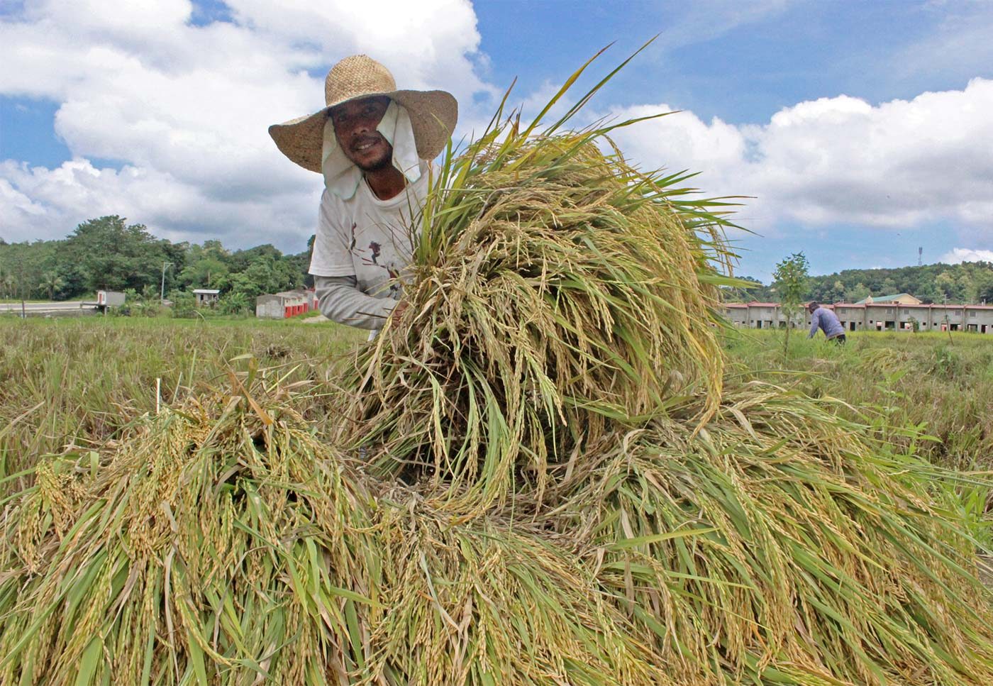 Rice stocks hit 2.63 million metric tons in April 2019
