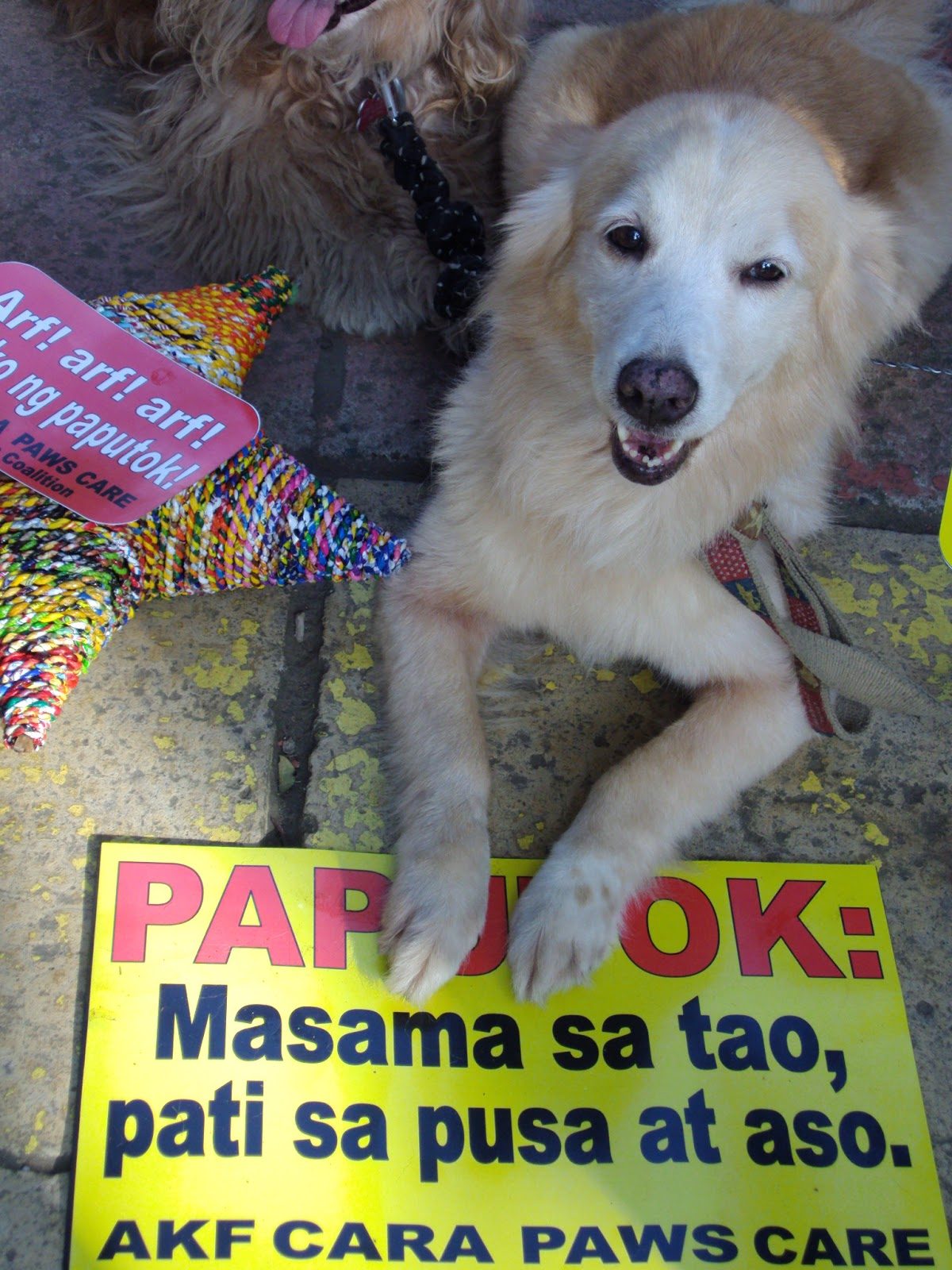 PET RALLY FOR A CAUSE. Firecrackers are toxic to animals too. Photo from EcoWaste Coalition  