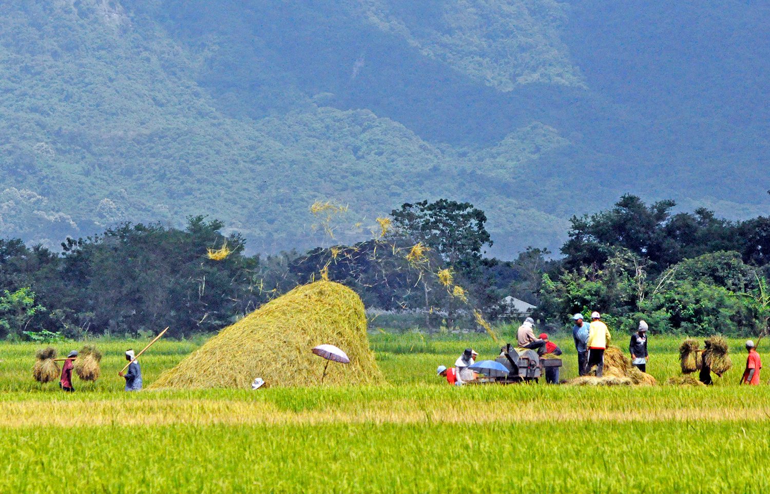 Agriculture department blames banks for poor growth