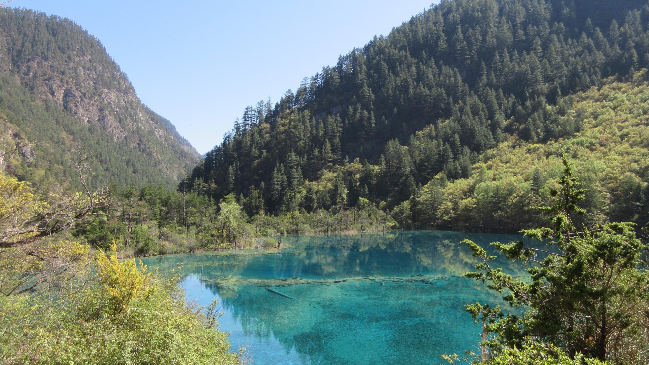 Travel guide: Exploring the clear lakes of Jiuzhaigou