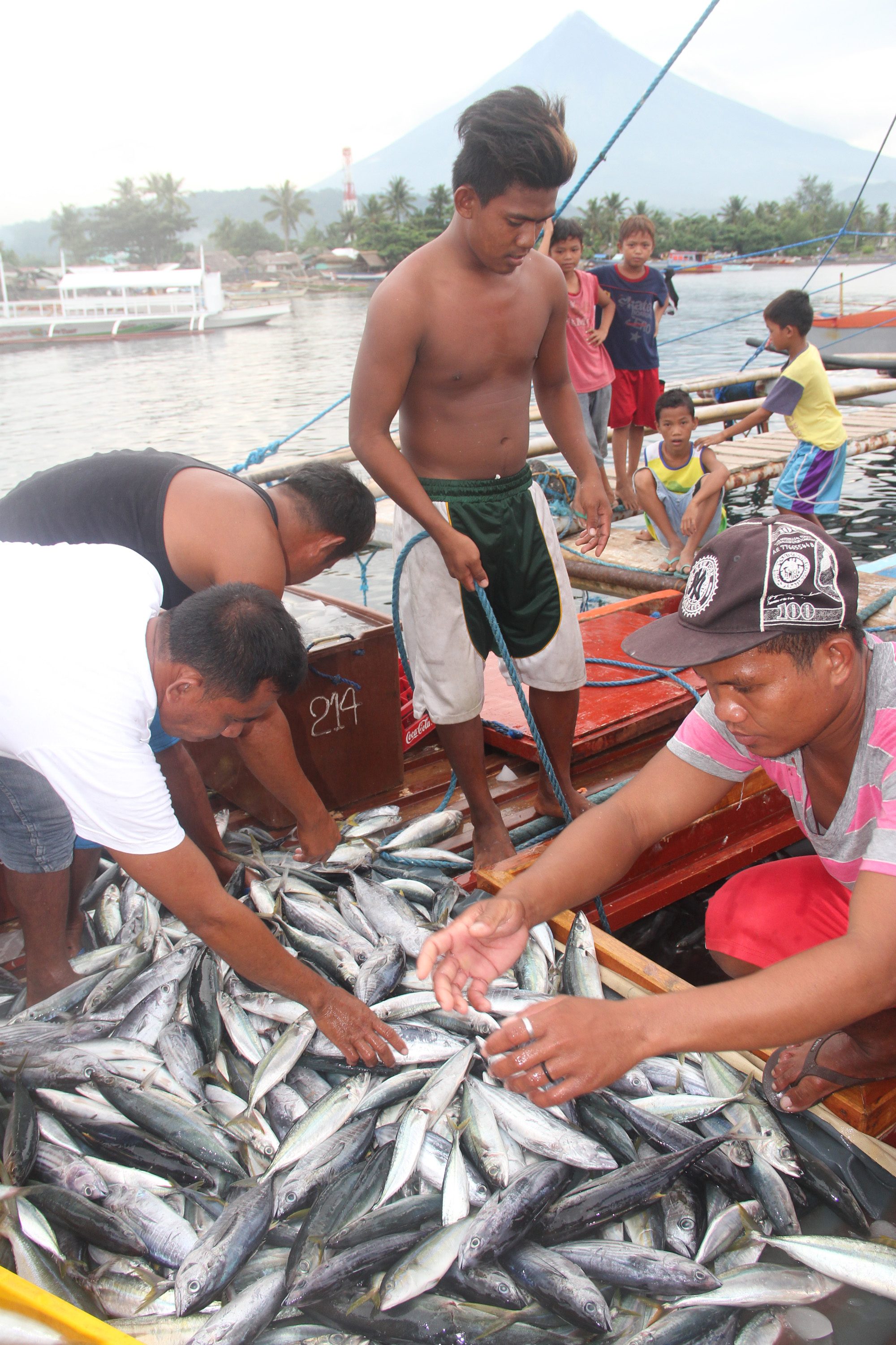 FISH YIELD. Fishermen arrange their catch at Lagunoy Gulf   