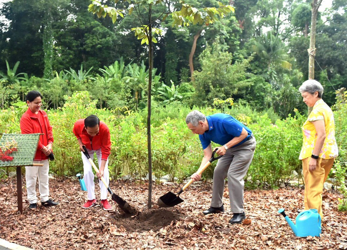 TANAM POHON. Presiden Joko Widodo dan PM Lee Hsien Long menanam tanaman bernama di Botanical Garden pada Kamis pagi, 7 September. Tanaman itu menandakan kokohnya hubungan kedua negara. Foto: Biro Pers Istana 