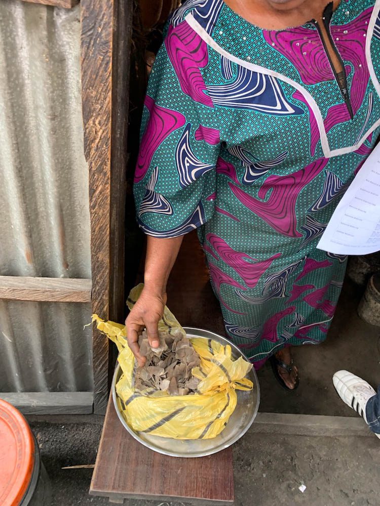 DEMAND. This woman we met at market in Lagos is one of several traders openly selling pangolin scales there. Credit: Samuel Ogundipe/Premium Times 