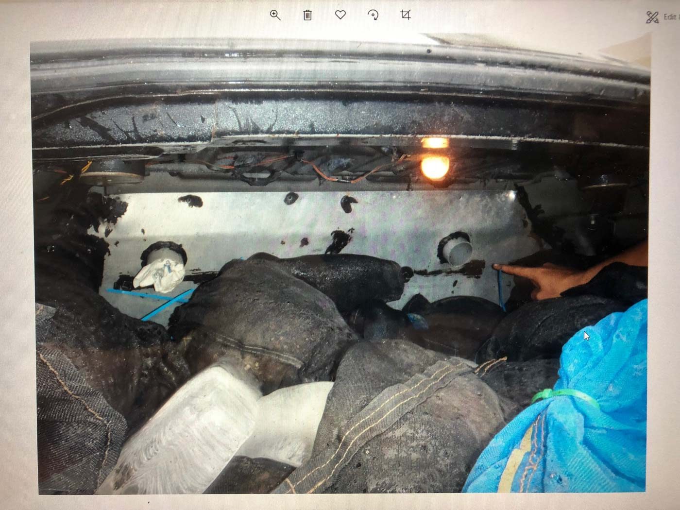 SMUGGLING. Syndicates smuggle pangolins in passenger cars outfitted with special air conditioning vents in the boot to keep the animals alive longer. Photo courtesy of the Department of Wildlife and National Parks, Malaysia 