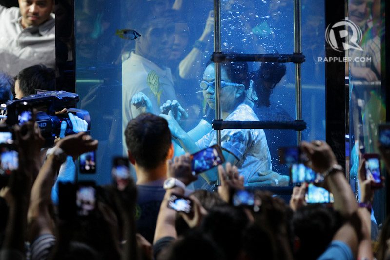 HELLO THERE. A fan also takes a dip in the tank. Photo by Mark Cristino/Rappler