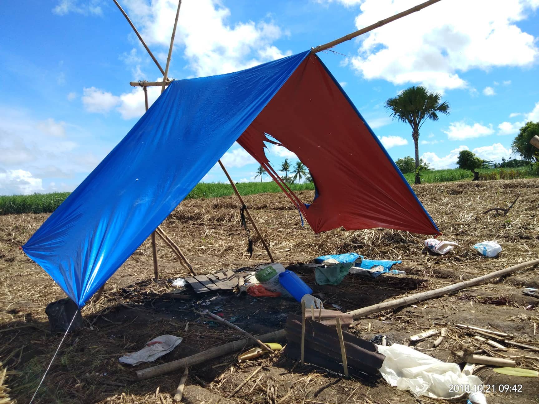 9 farmers killed at Negros Occidental hacienda