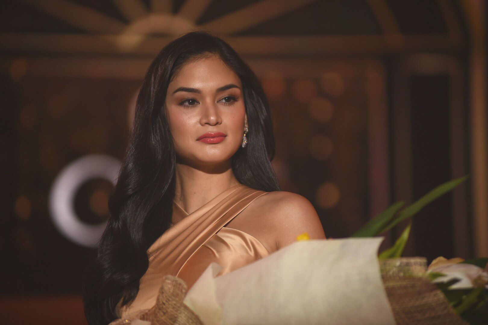 Pia Wurtzbach to critics: I don’t have to post everything on social media