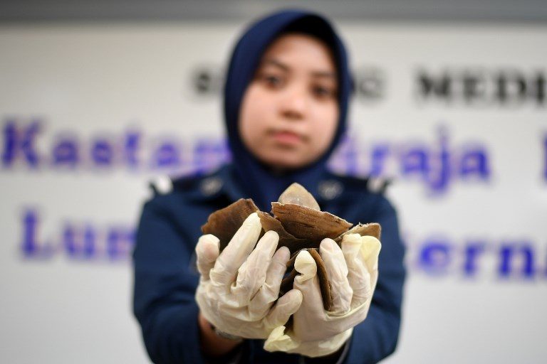 Malaysia makes record 30-ton pangolin seizure