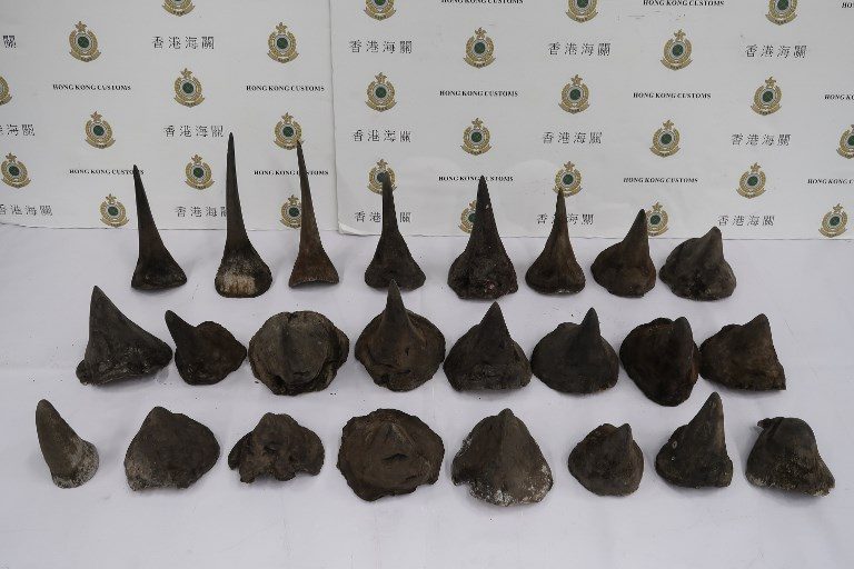 Hong Kong seizes $1 million in rhino horns after record airport haul