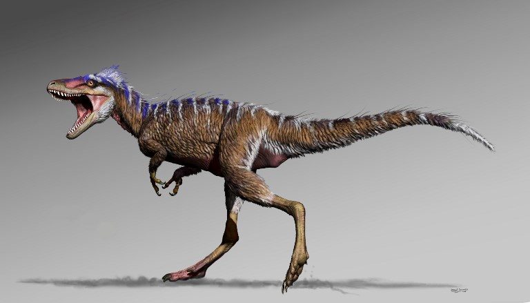 Tiny T. rex sheds light on prime dino predators