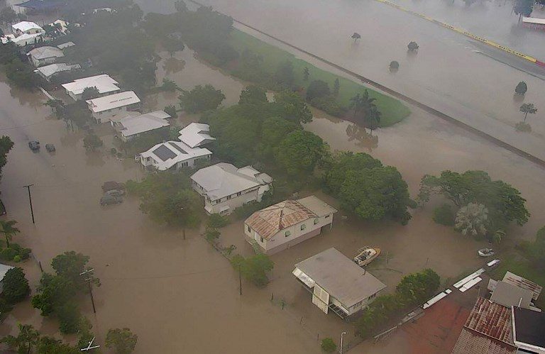 ‘Hundreds of thousands’ of cattle feared dead after Australia floods