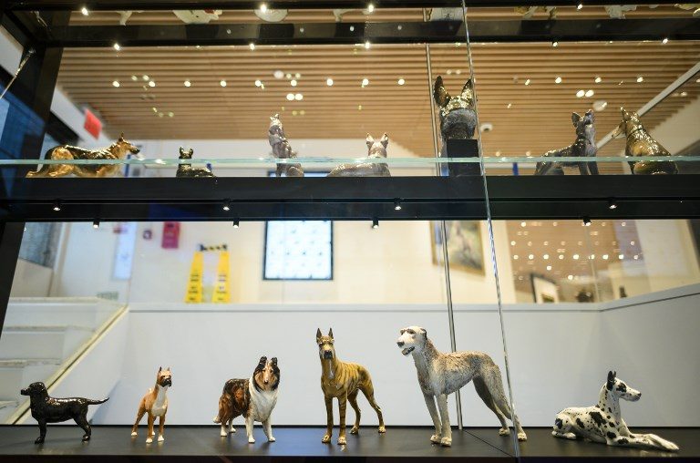 Dogs have their day at revived New York museum