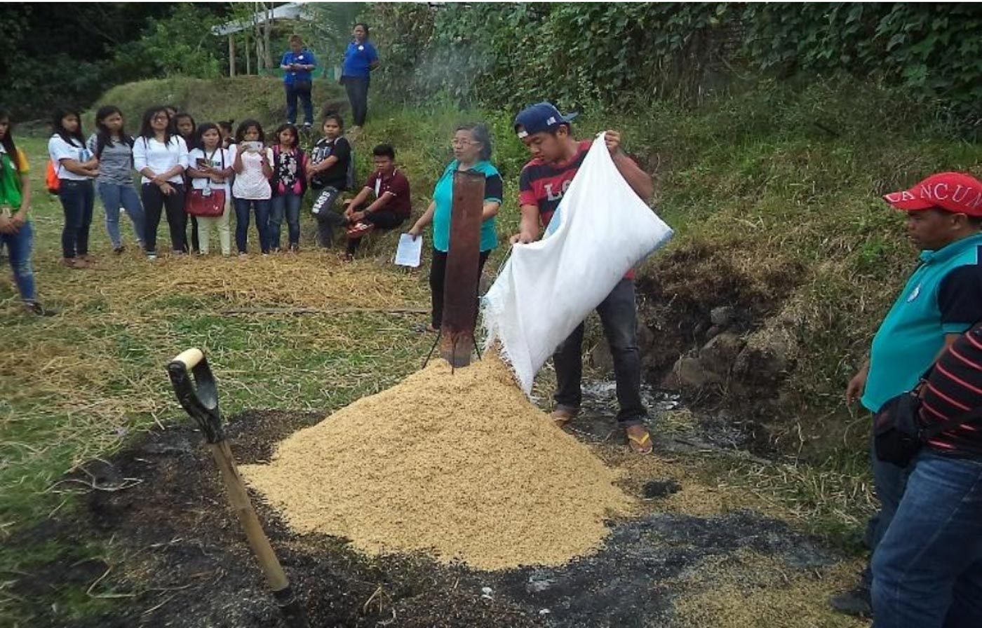 Organic farming helps lessen health risks in Cervantes, Ilocos Sur