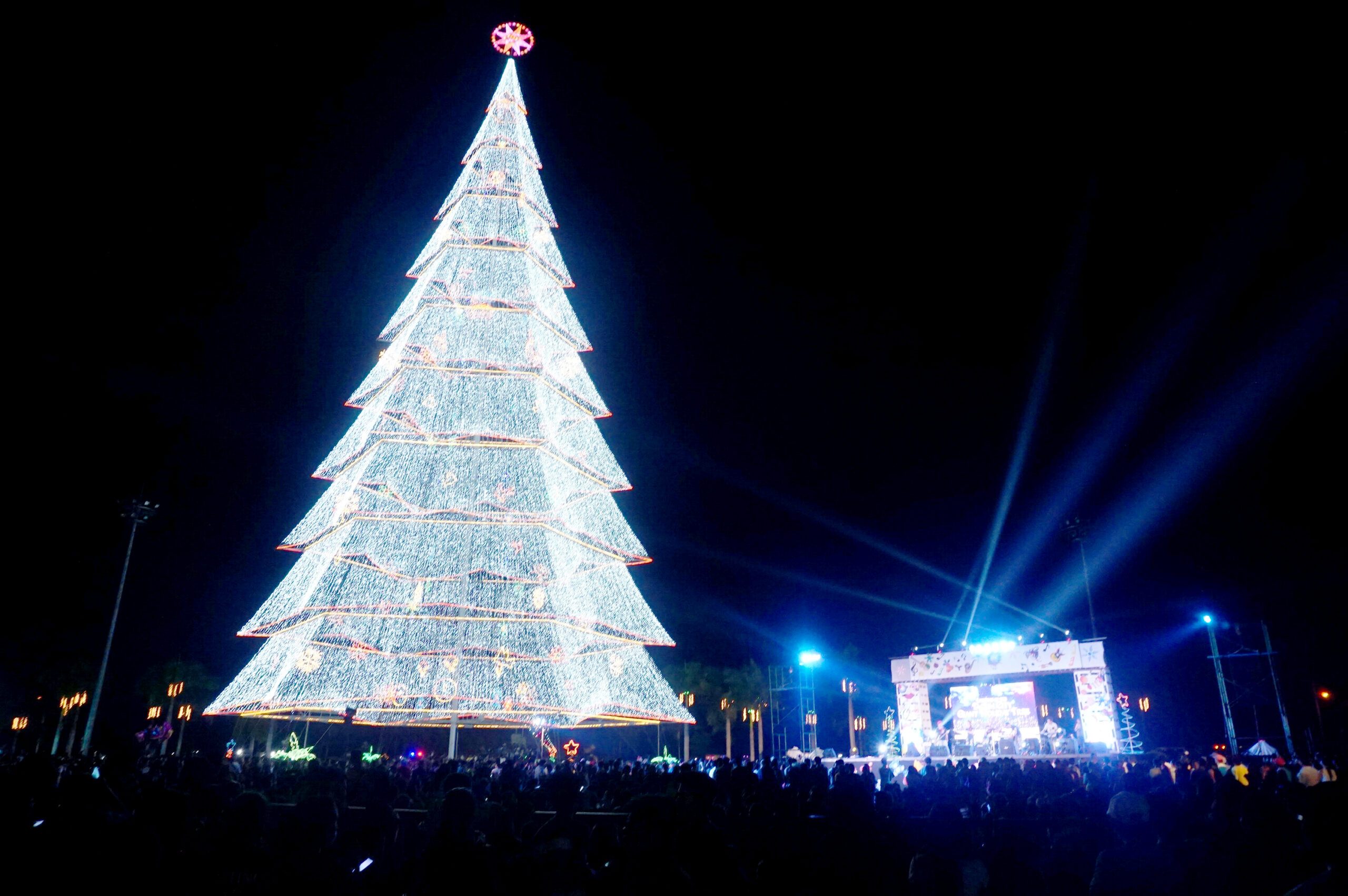 A gigantic Christmas tree lights up beautiful Tagum City