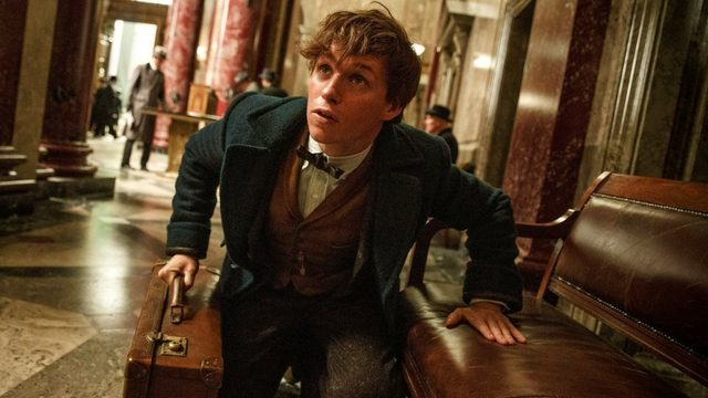 LOOK: What is Newt Scamander up to in the ‘Fantastic Beasts’ sequel?