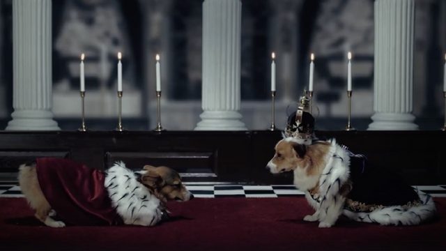 WATCH: Corgis in capes! Netflix’s ‘The Crown’ goes to the dogs