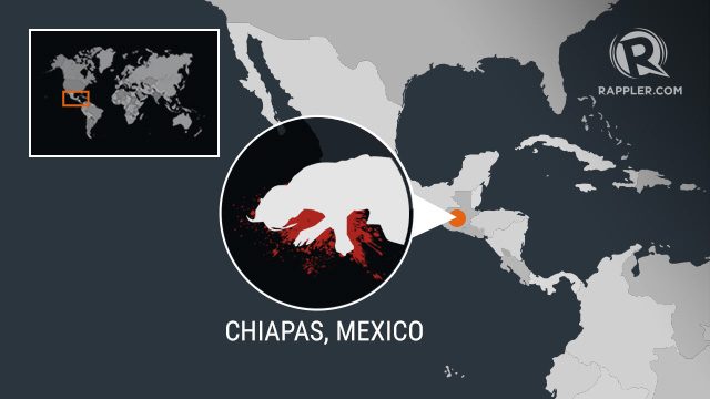 Mexican environmentalist stabbed to death