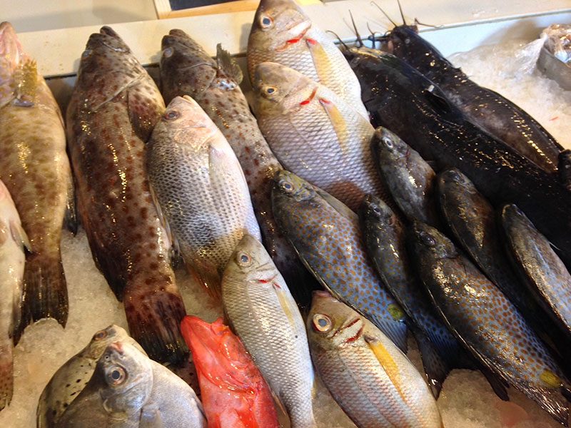 TAKE YOUR PICK. Fresh catch of the day at Ading's 