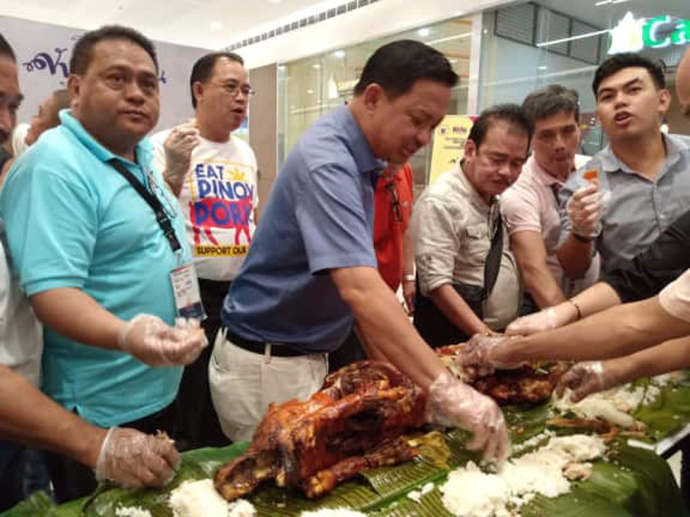 Albay bans pigs, pork products from Camarines provinces