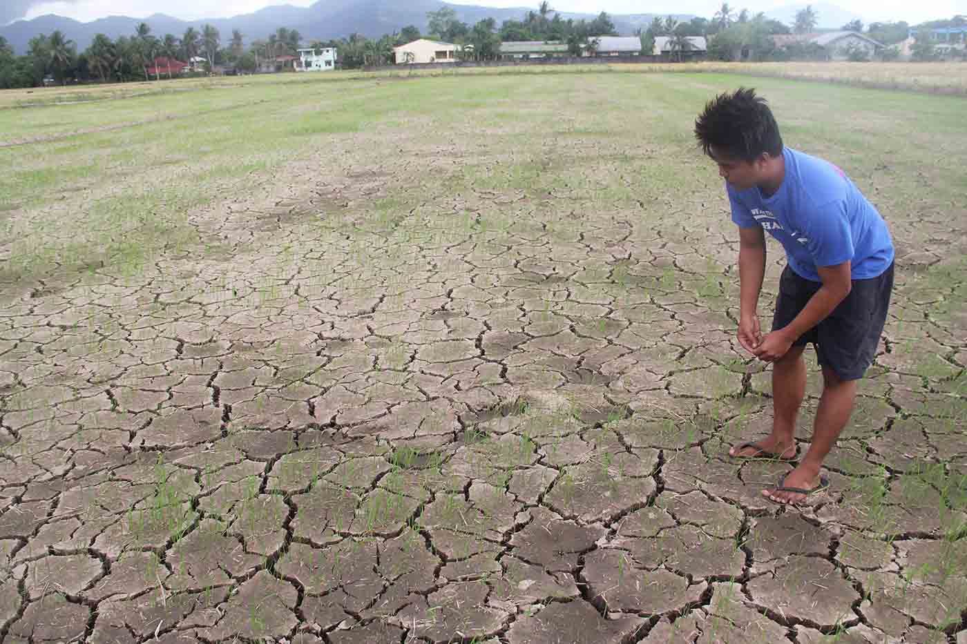 Act now on water security, groups tell gov’t ahead of El Niño