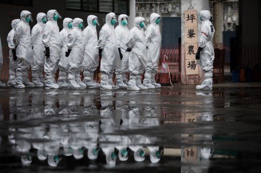 China confirms first human case of H7N4 bird flu