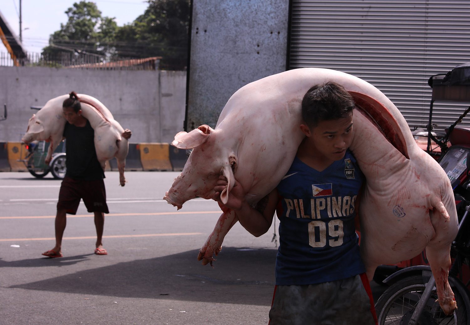 DA orders temporary ban on pork from Germany