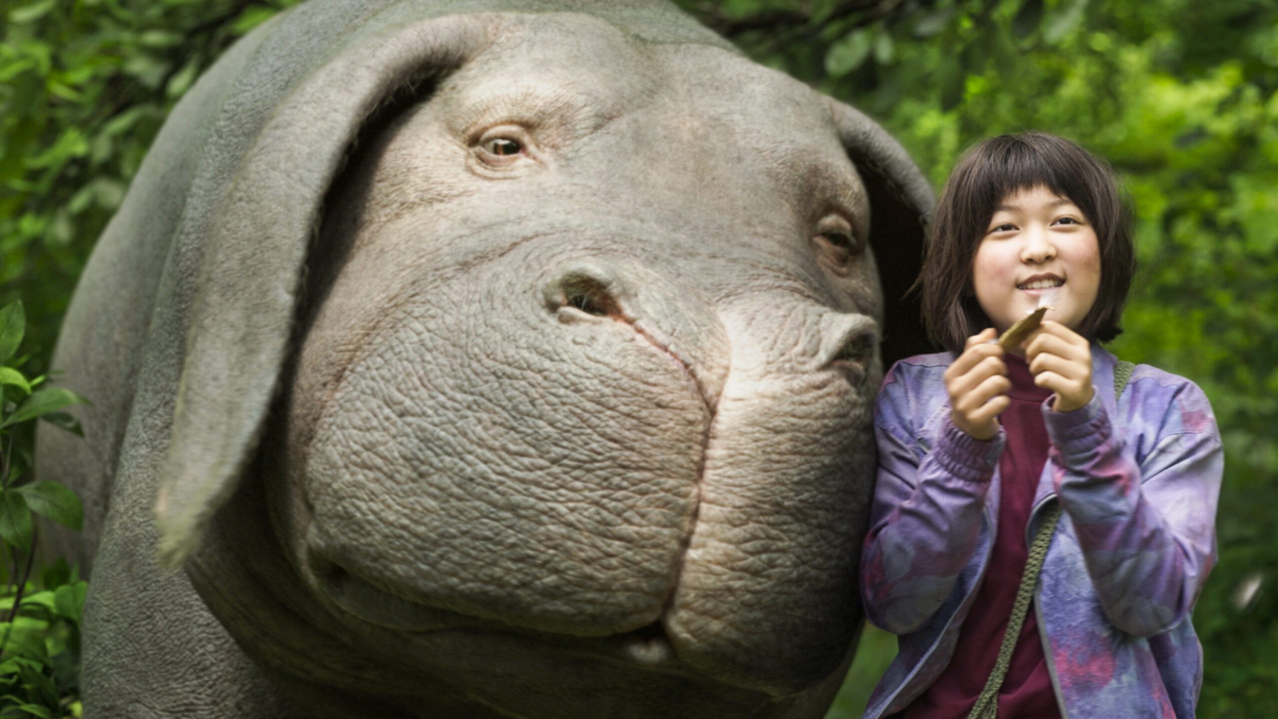 7 things to know about Bong Joon-ho’s game-changing ‘Okja’