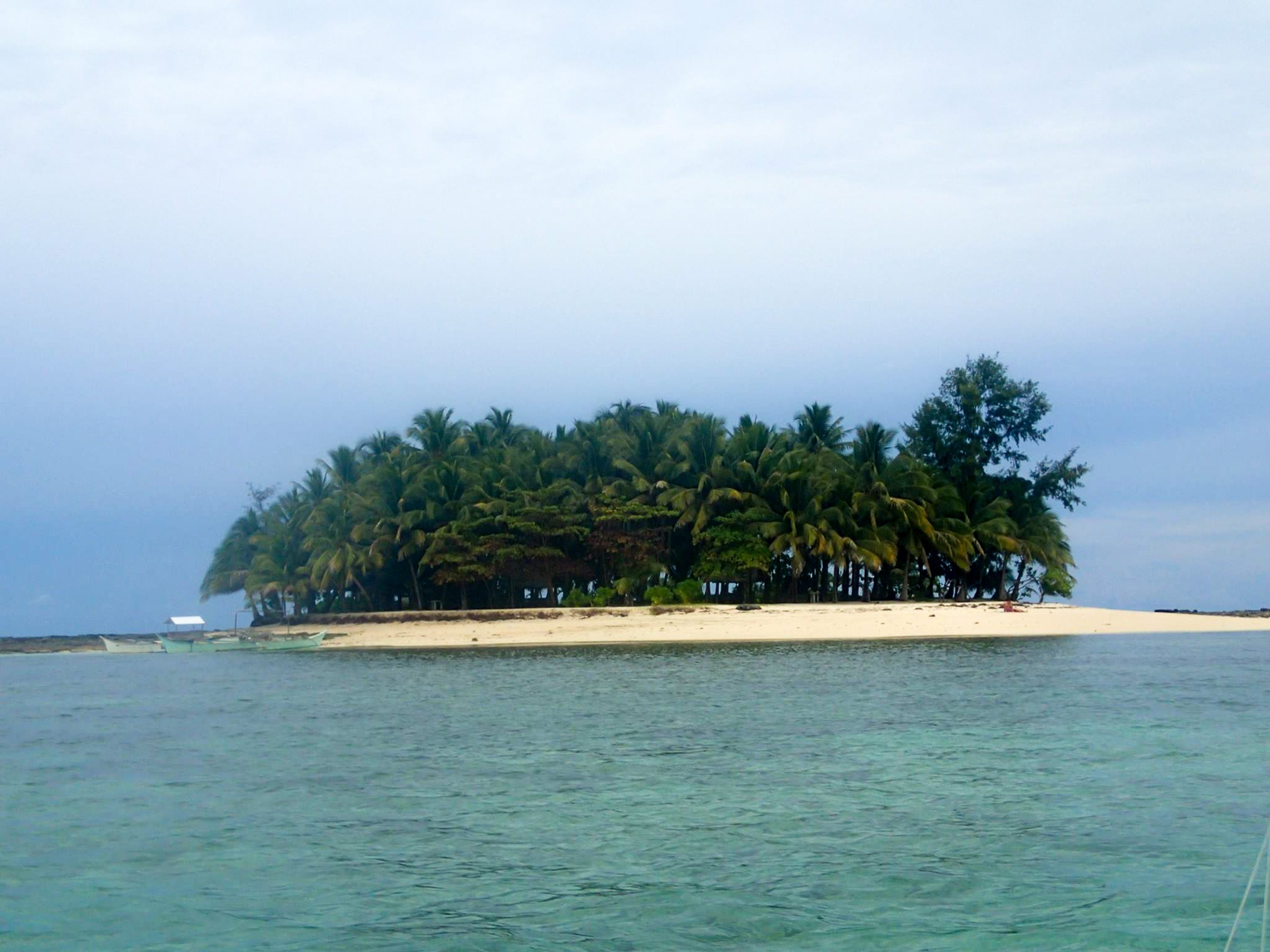 UNINHABITED. Guyam Island is mostly covered by coconut trees. Photo by Ayn Latonio 
