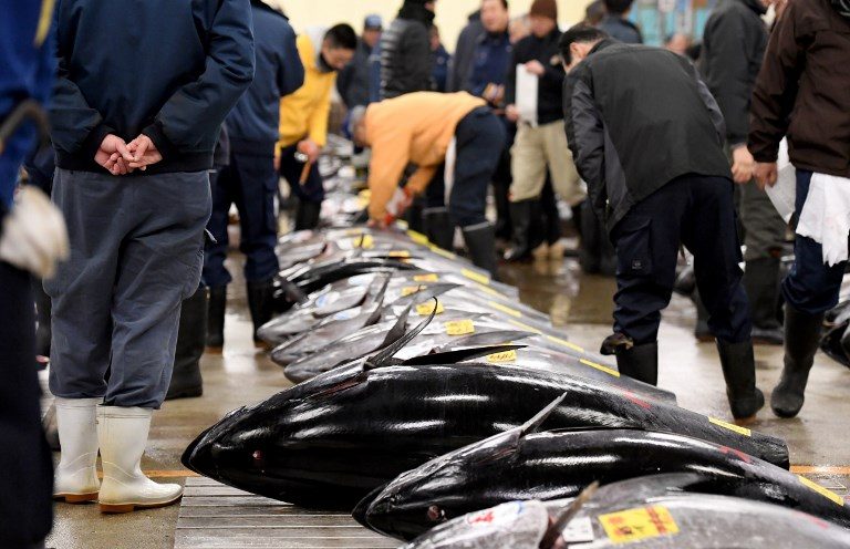 World’s biggest fish market will be moved, says Tokyo governor