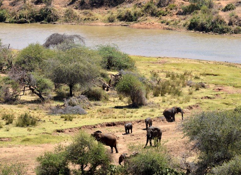 10 killed in latest Kenya drought clash