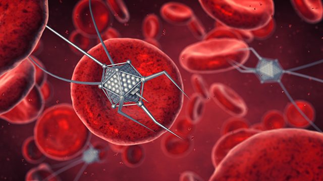 Nanobots treat cancerous tumors in tests conducted on mice – study
