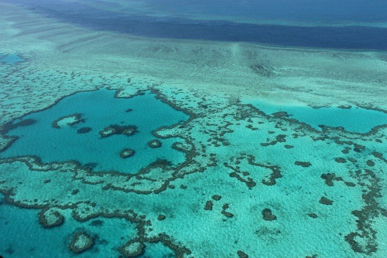 ‘Many more’ corals die in Great Barrier Reef bleaching